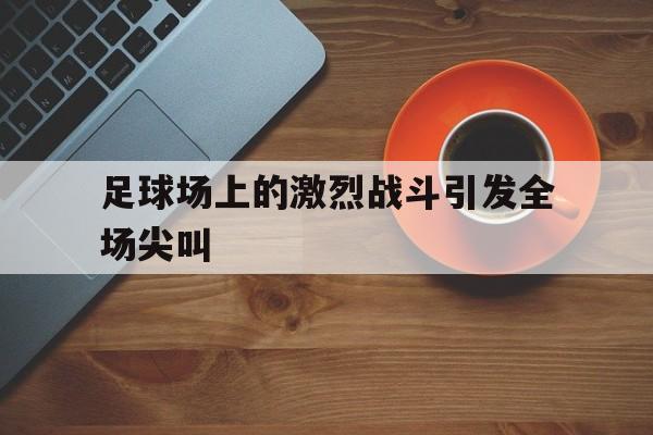 足球场上的激烈战斗引发全场尖叫