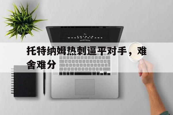 托特纳姆热刺逼平对手，难舍难分